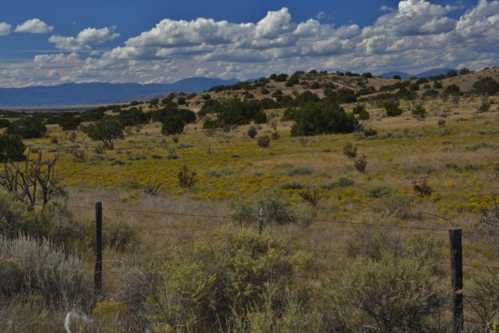 Bonanza Creek Road